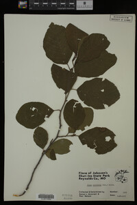 Image Associated With the Occurrence