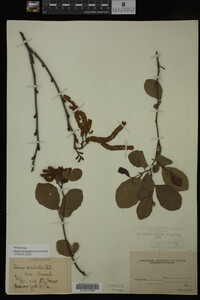 Image Associated With the Occurrence