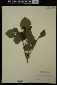 Image Associated With the Occurrence