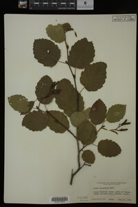 Image Associated With the Occurrence