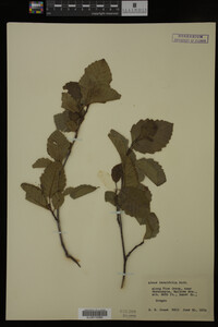 Image Associated With the Occurrence
