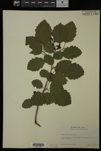 Image Associated With the Occurrence