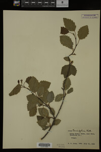 Image Associated With the Occurrence