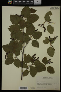 Image Associated With the Occurrence