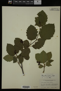 Image Associated With the Occurrence