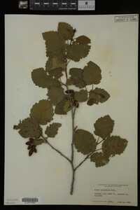 Image Associated With the Occurrence