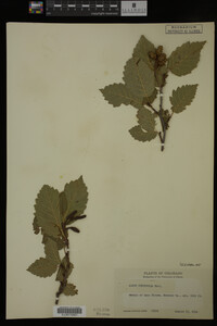 Image Associated With the Occurrence