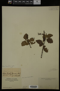 Image Associated With the Occurrence