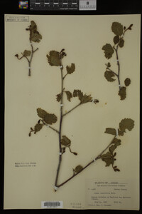 Image Associated With the Occurrence