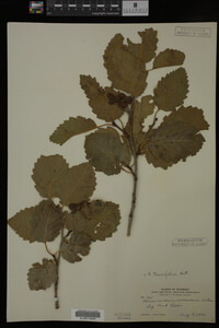 Image Associated With the Occurrence