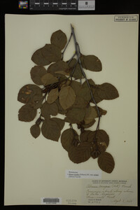 Image Associated With the Occurrence