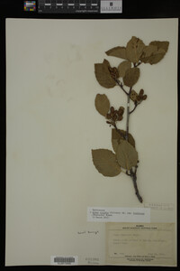 Image Associated With the Occurrence