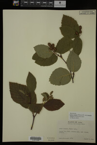 Image Associated With the Occurrence