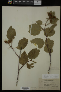 Image Associated With the Occurrence