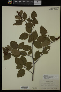 Image Associated With the Occurrence