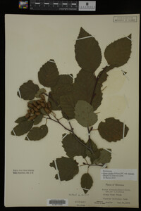 Image Associated With the Occurrence