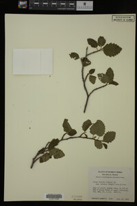 Image Associated With the Occurrence