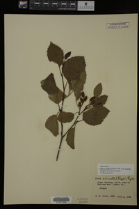 Image Associated With the Occurrence