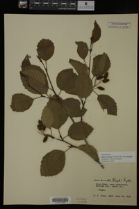 Image Associated With the Occurrence