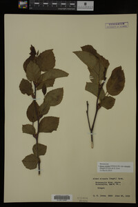 Image Associated With the Occurrence
