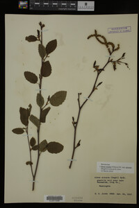 Image Associated With the Occurrence