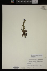 Image Associated With the Occurrence