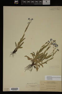 Image Associated With the Occurrence