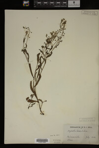 Image Associated With the Occurrence