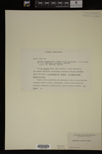 Image Associated With the Occurrence