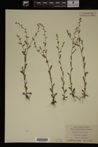 Image Associated With the Occurrence