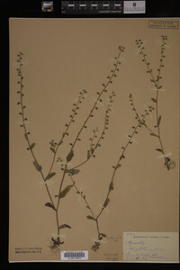 Image Associated With the Occurrence