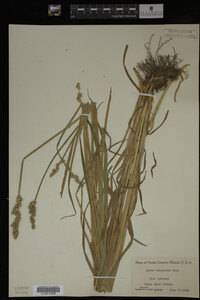 Image Associated With the Occurrence
