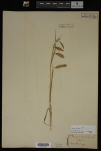 Image Associated With the Occurrence