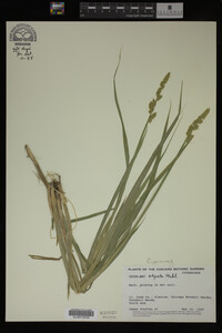 Image Associated With the Occurrence