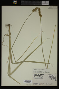 Image Associated With the Occurrence