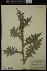 Image Associated With the Occurrence