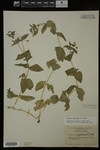 Image Associated With the Occurrence