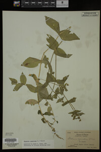 Image Associated With the Occurrence