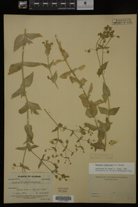 Image Associated With the Occurrence