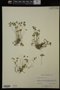 Image Associated With the Occurrence