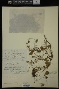 Image Associated With the Occurrence