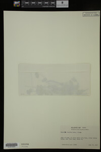 Image Associated With the Occurrence