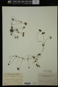 Image Associated With the Occurrence