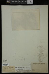 Image Associated With the Occurrence