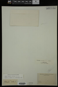 Image Associated With the Occurrence