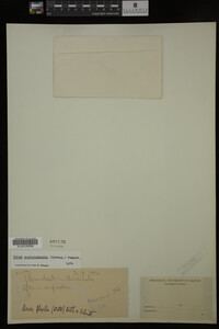 Image Associated With the Occurrence