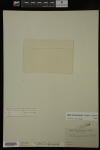 Image Associated With the Occurrence
