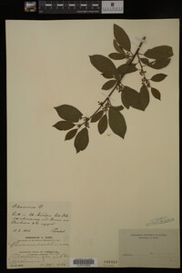 Image Associated With the Occurrence