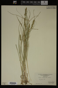 Image Associated With the Occurrence