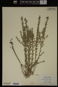 Image Associated With the Occurrence